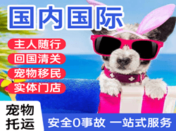 喀什徕宁机场邮寄国际宠物托运 【国